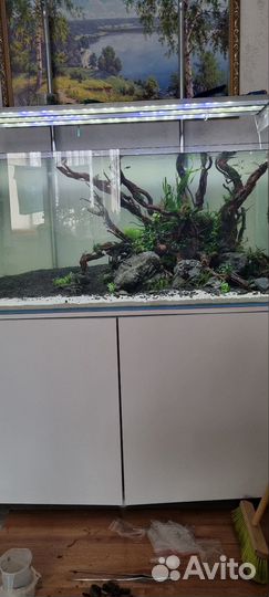 Коряги для аквариума