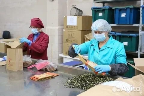 Вахта с проживанием в Москве - Разрыхлитель чая