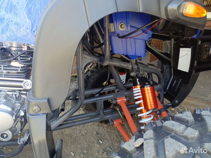 Motax 250