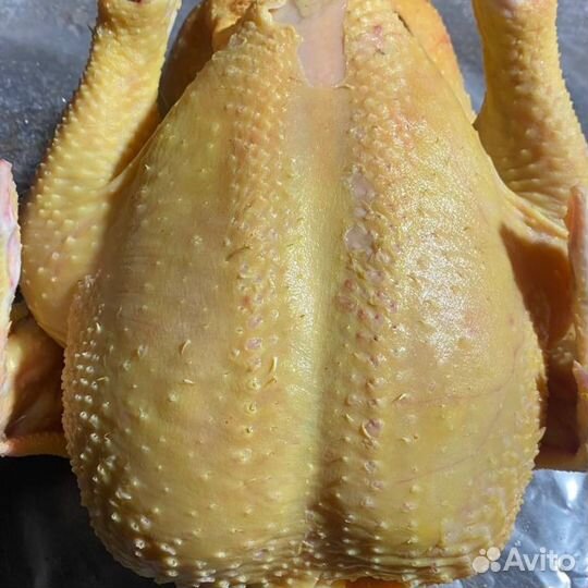 Фермерские куры / оптом / халяль