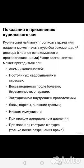 Лапчатка жёлтая (Курильский чай)