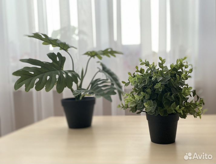 Искусственные растения IKEA