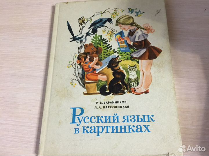 Русский язык в картинках