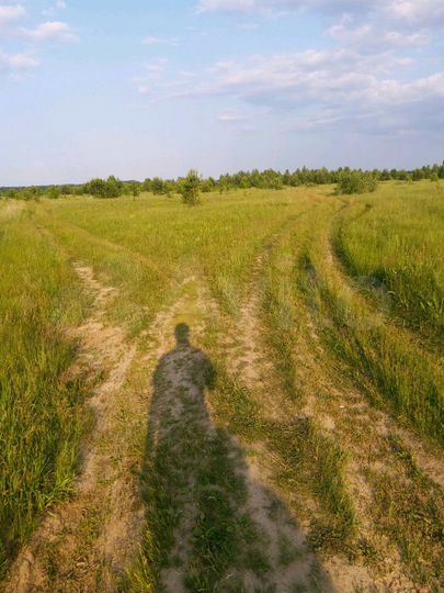 Участок 19,8 га (СНТ, ДНП)