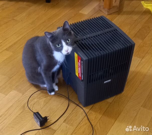 Мойка воздуха Venta LW15