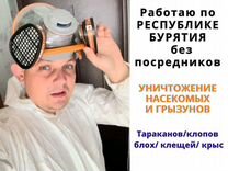 Уничтожение тараканов клопов клещей блох ос