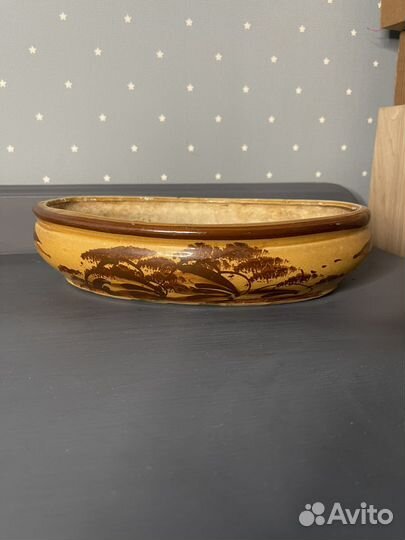 Горшок для бонсай