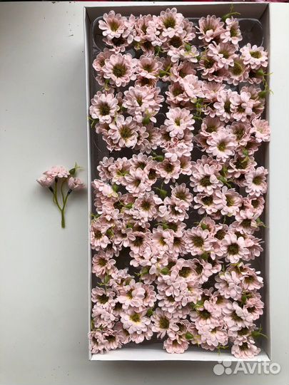 Мыльные цветы хризантемы