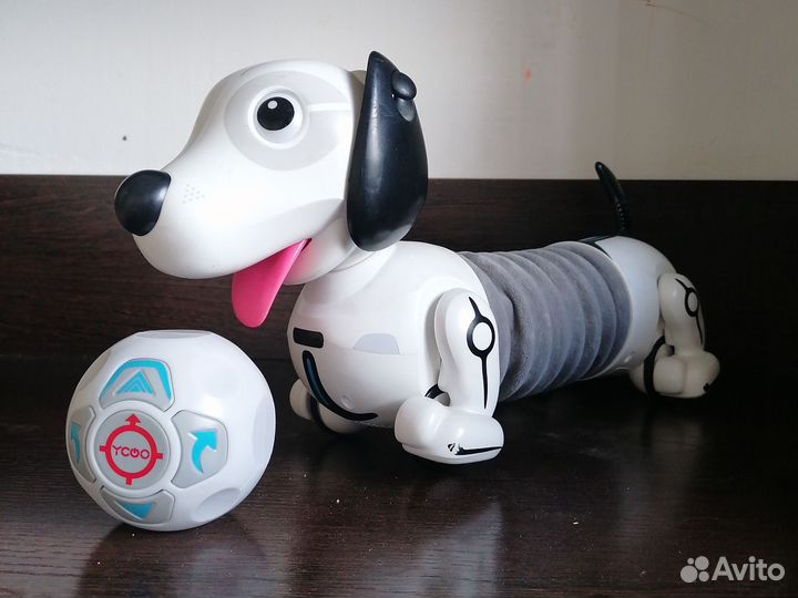 Собака-робот