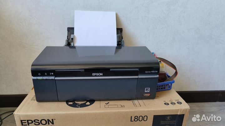 Принтер Epson L800, T50, P50