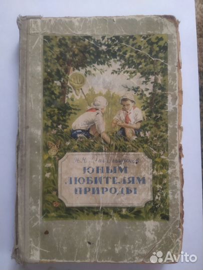 Плавильщиков Н.Н. Юным любителям природы
