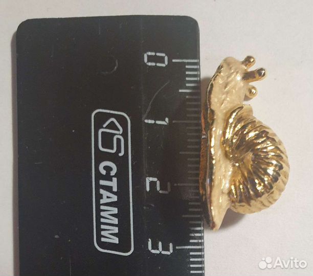 Улитка позолоченная