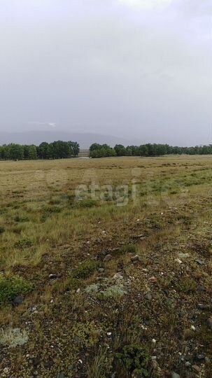 Участок 2,46 га (СНТ, ДНП)