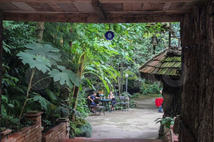 Общепит 3000 м² (Грузия)