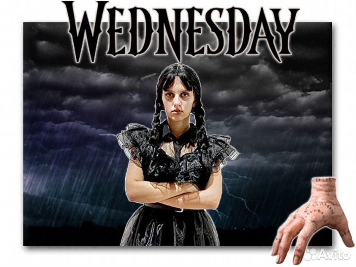 Аниматор. Уэнсдей. Барби. Шоу