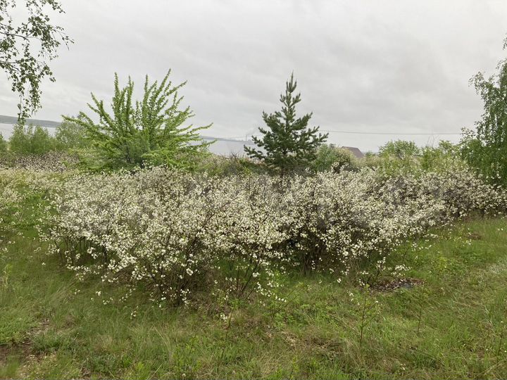 Участок 4 сот. (СНТ, ДНП)