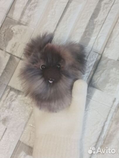 Звероварежки.щенята немецкой овчарки