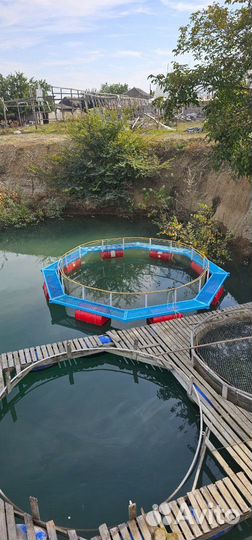 Садок для выращивания рыбы