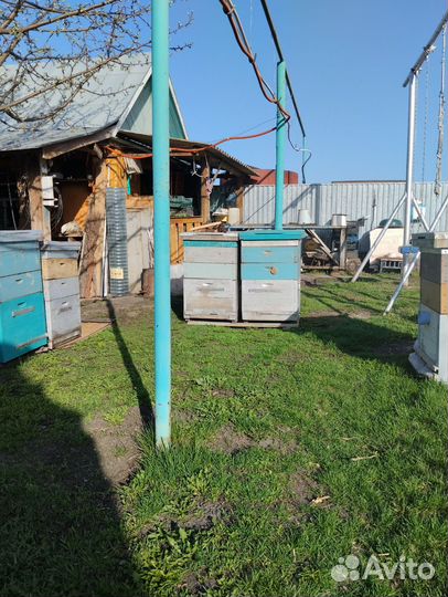 Продаю ульи