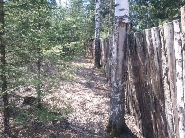 Участок 10 сот. (СНТ, ДНП)