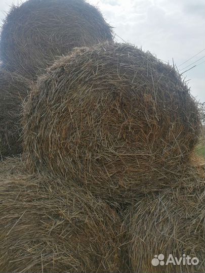 Солома в рулонах