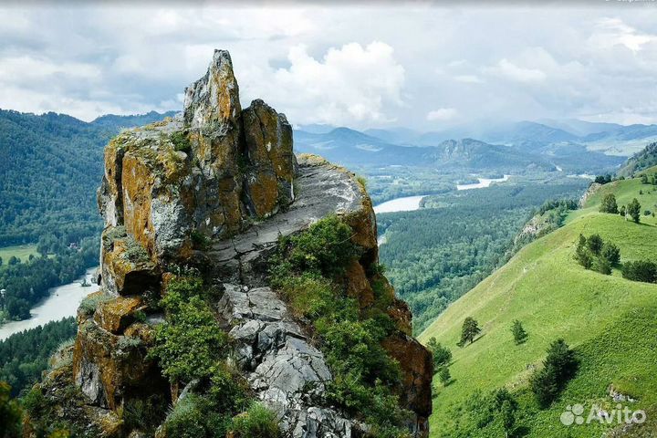 Тур по Алтаю