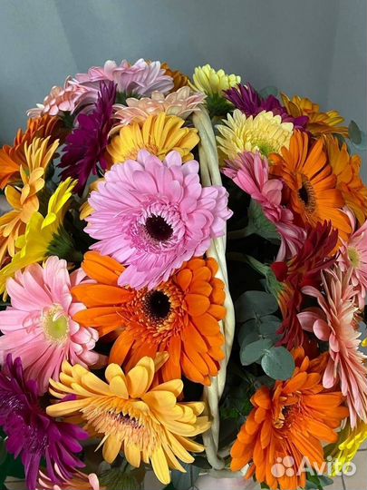 Букет из 31 герберы в корзине