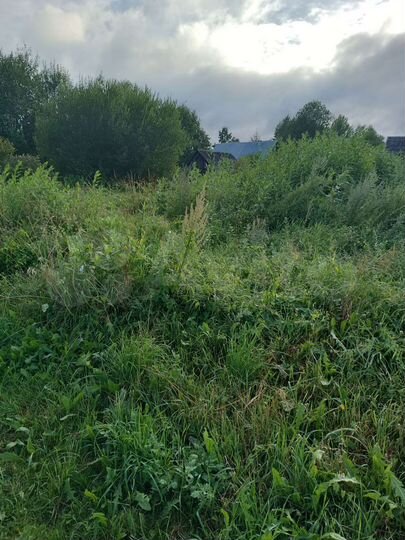 Участок 28 сот. (ИЖС)