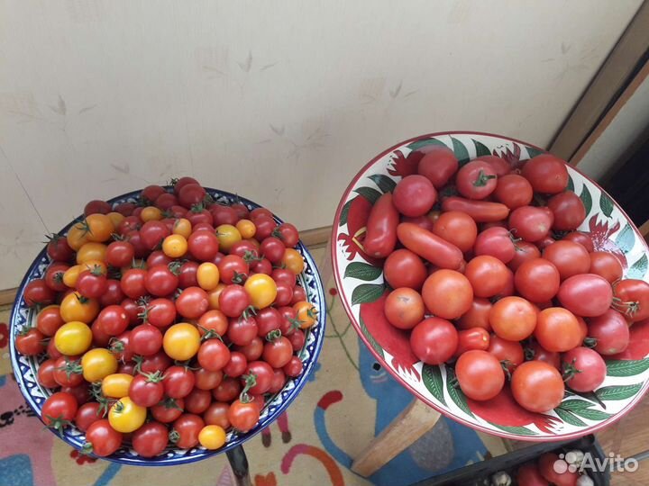 Огурцы и помидоры