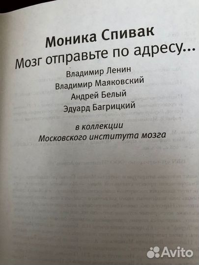 Моника Спивак. Мозг отправьте по адресу