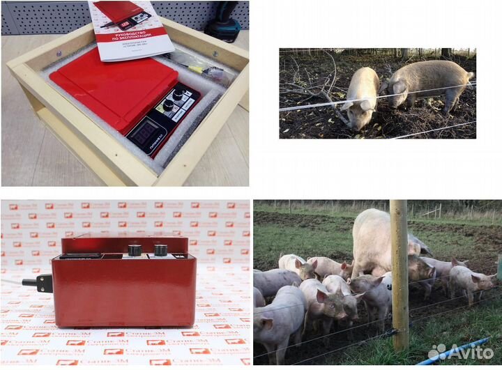 Электропастух для коз