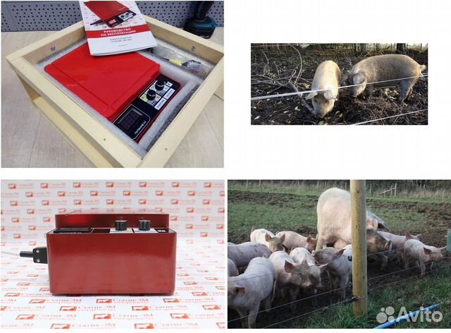 Электропастух для коз
