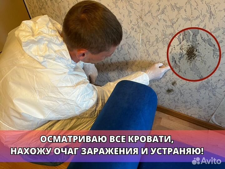 Обработка от тараканов,клопов,устранение запахов