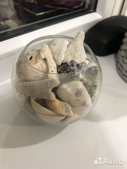 Ракушки, кораллы