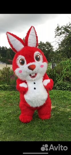 Красный заяц. Панда. Розовый мишка. Ростовая кукла