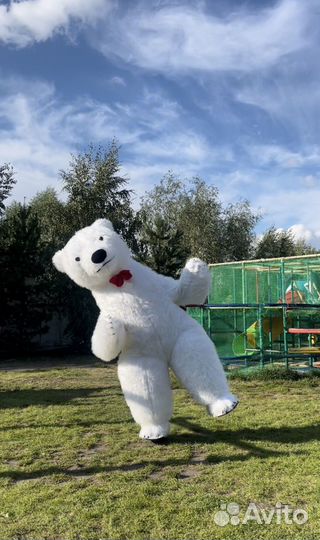 Белый мишка поздравление