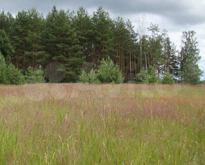 Участок 15 сот. (ИЖС)