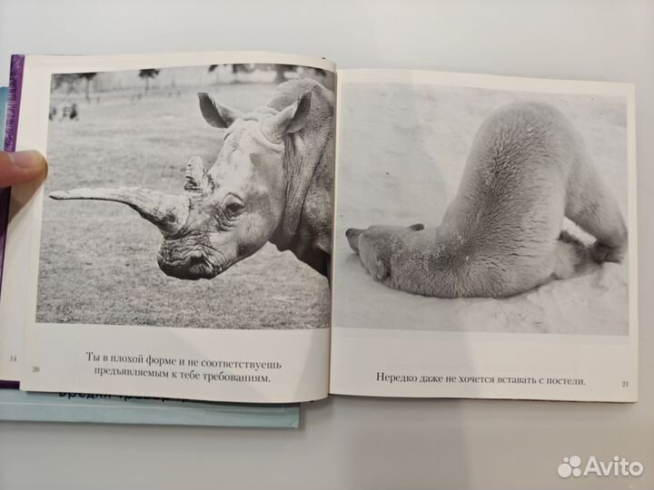 Книги Бредли Тревора Грива