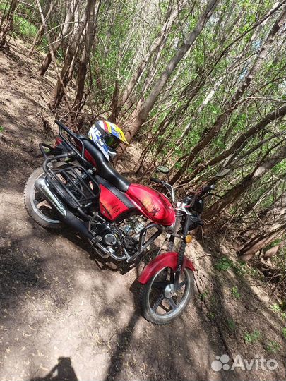 Мопед альфа 110 куб