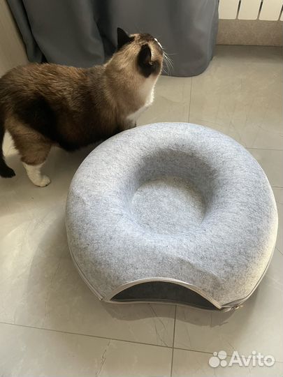 Домик лежанка для кошки, собаки и для грызунов