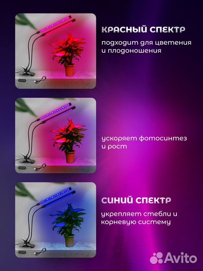 Фитолампа для растений