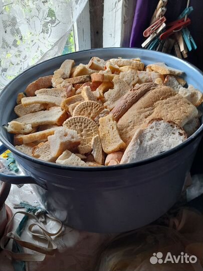 Хлеб на корм животным