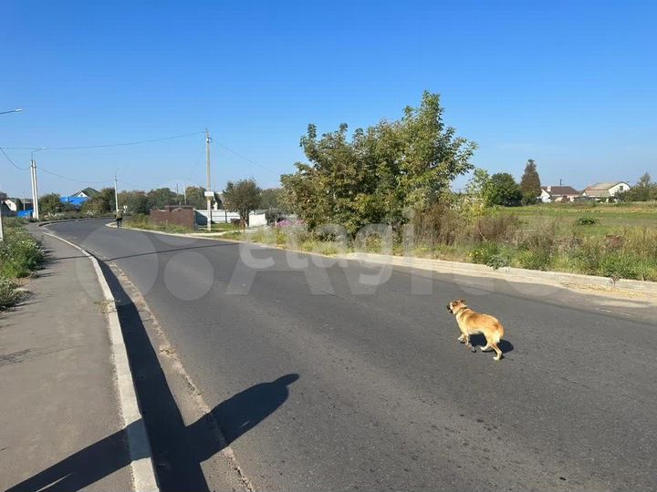 Участок 10,5 сот. (ИЖС)