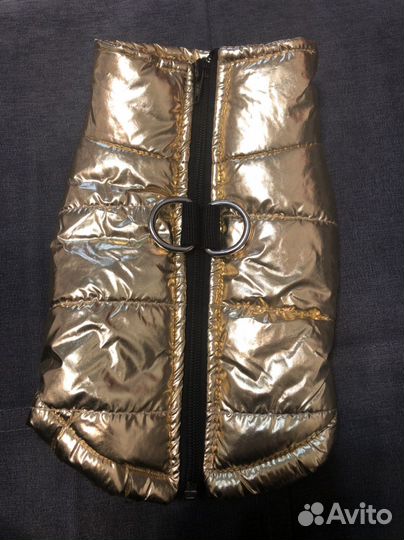 Одежда для собаки