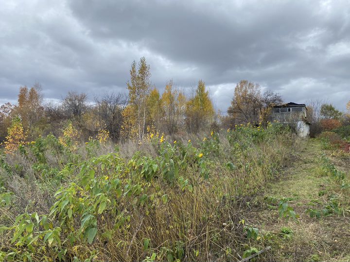 Дача 45 м² на участке 10 сот.