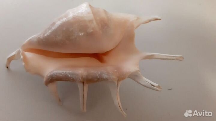 Аксессуары и декор для аквариума