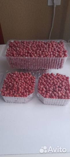 Облепиха Садовая - ягоды свежемороженные - сочные