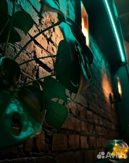 Готовый бизнес кальянная в цао с чп 230т+, торг