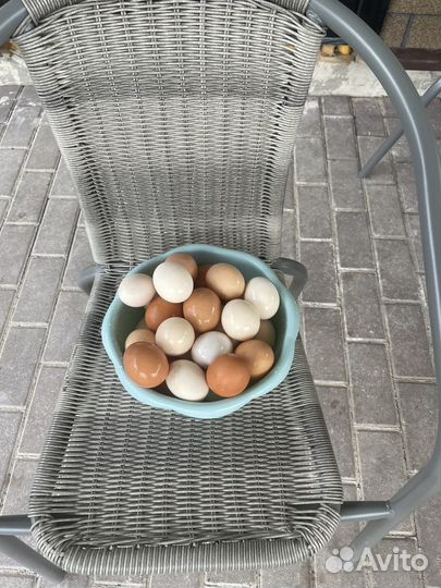 Продаются домашние яйца