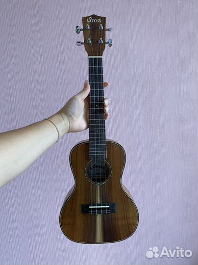 Укулеле концерт UMA UK-15SC с чехлом в комплекте